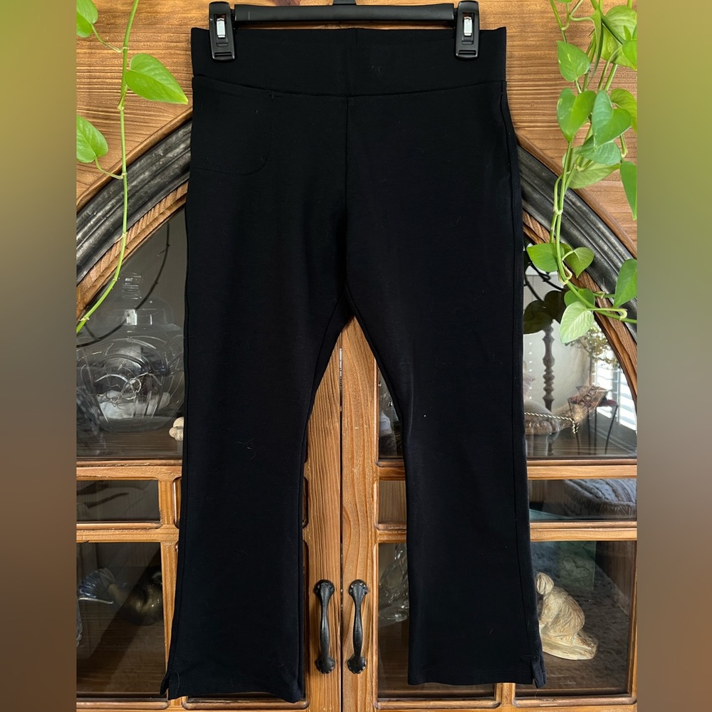 American Giant Black Athletic Ponte Pants